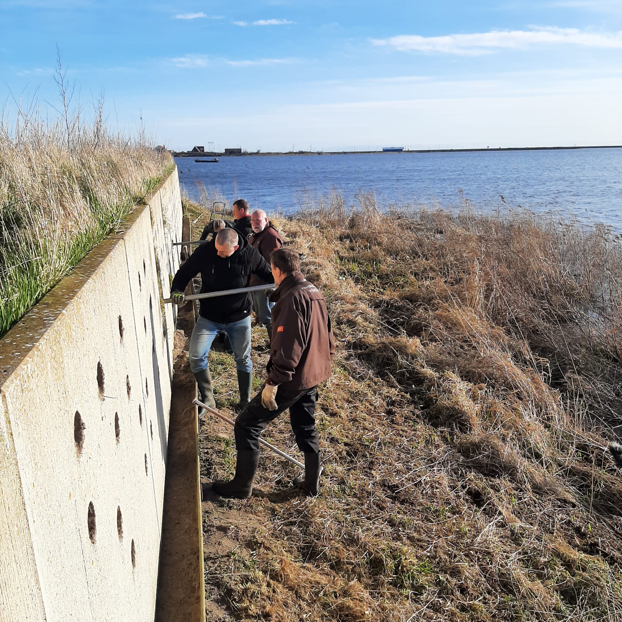 oeverzwaluwenwand wordt gevuld